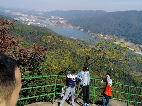 2024澳门免费资料大全老玩家